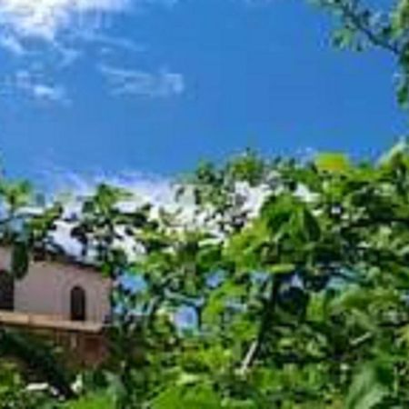 Il Gelsomino Home Holiday Alcamo Extérieur photo